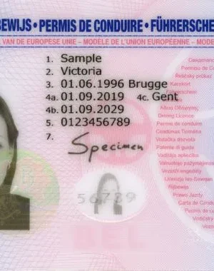 Buy Belgium Drivers License Online