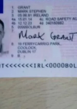 Irish driver’s license