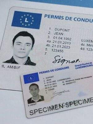 Buy  Fake Luxembourg Driver’s License Now. Your IDP is a real kind of recognizing verification more than 150 countries worldwide and contains your name