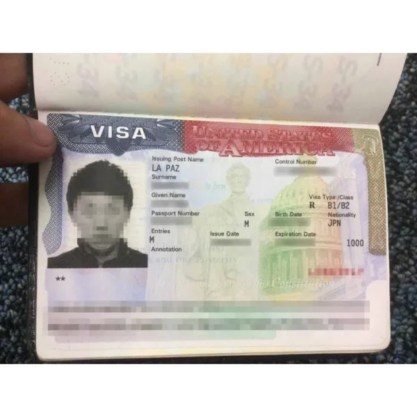 Buy US Visa Online